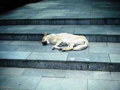 -宁波五龙潭景区