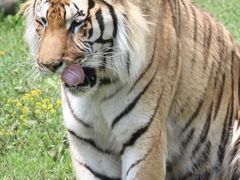 -沈阳森林动物园