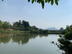 -松山湖南湖湾露营营地