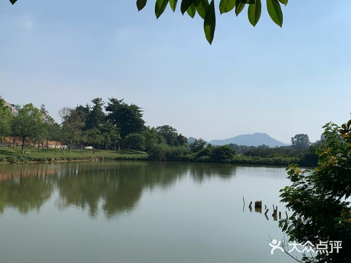 松山湖南湖湾露营营地图片