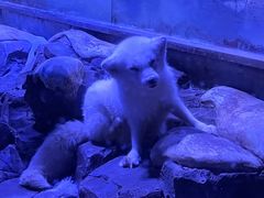 -上海海昌海洋公园
