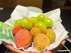 -季季山·云南野生菌火锅(上海首店)