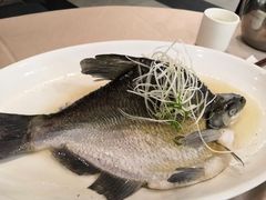 油盐蒸神仙鳊鱼-四海酒家生态粤菜