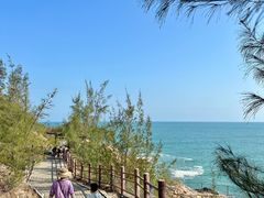 -广东惠东海龟国家级自然保护区