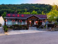 -呼吸森林·生态农庄农家乐私房菜