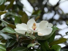 -黄兴公园