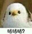 -金陵一哥龙虾馆(三牌楼总店)