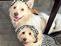 -22ºN BISTRO西餐&酒馆