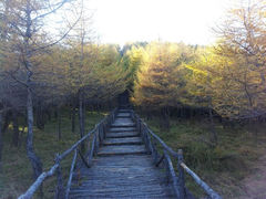 android_upload_pic-红崖峡谷景区