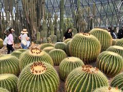 -深圳仙湖植物园