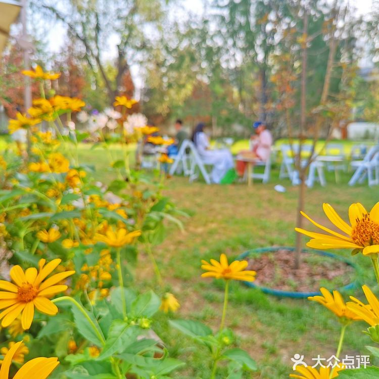 发呆一下午，出片300张