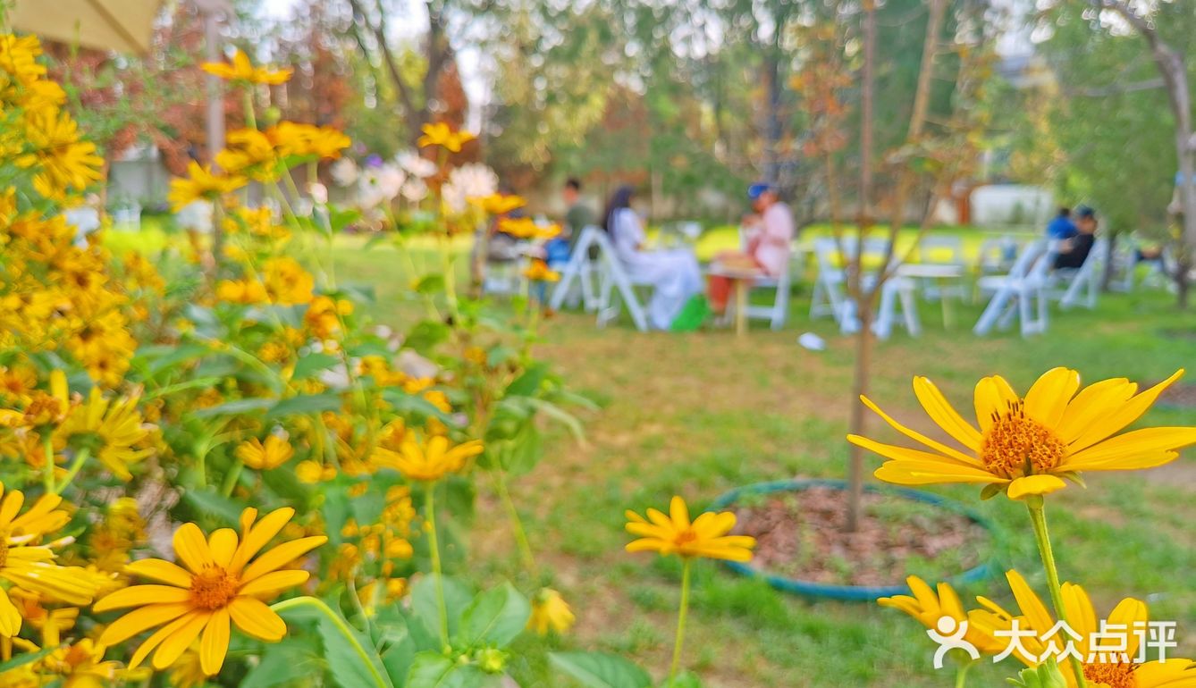 发呆一下午，出片300张