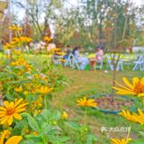 发呆一下午，出片300张