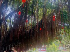 -莆田湄洲妈祖祖庙