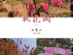 -桃花涧