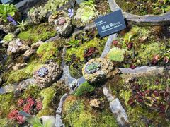 -国家植物园南园