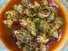辣椒酒啫花螺-金龙·打边炉(武进路店)
