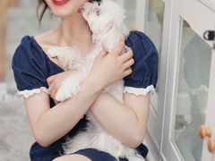 -青奢宠物·青奢猫舍