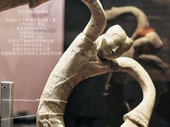 -昆明市博物馆(昆明市文物保护和考古研究中心)
