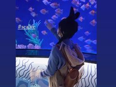 -沈阳海洋探索中心