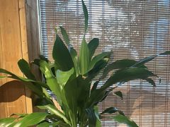 -徽三说·土徽菜·中国徽菜连锁品牌(一中店)