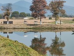 -良渚古城遗址公园