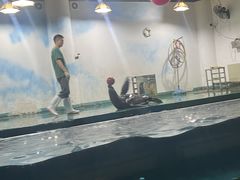 -嘉兴海底世界
