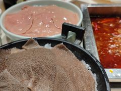 -红鼎坊·老成都火锅(新南门店)