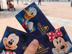 -上海迪士尼度假区