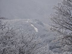 -安吉龙王山风景区