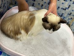 -FAELING PETS美天灵宠物(富力广场店)