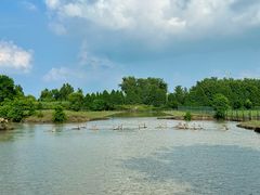 -溱湖国家湿地公园