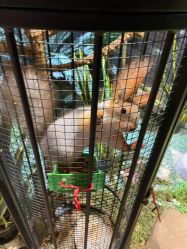 -酷嗒动物文化乐园(cutezoo西溪乐天城店)