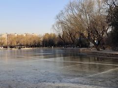 -团结湖公园