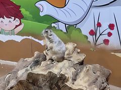 -秦皇岛新澳海底世界