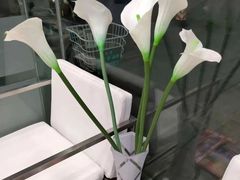 -福奈特洗衣洗鞋(温榆广场店)