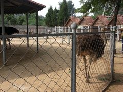 -意大利农场度假村