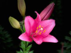 -长春公园(普阳街道)