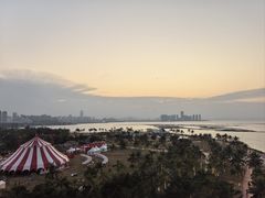 -万绿园