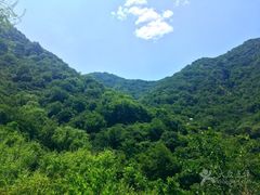 -阳台山自然风景区