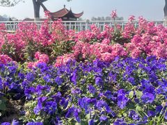 -武汉动物园