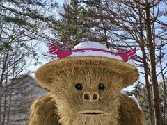 -洛阳白云山景区