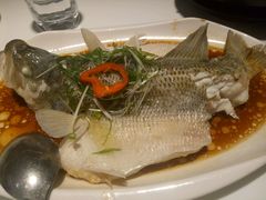 -至潮餐厅精致粤菜·活鲈鱼·走地鸡(珠江新城店)