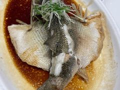 -紫光园·烤鸭·北京菜(劲松店)