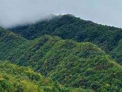 -神农架景区