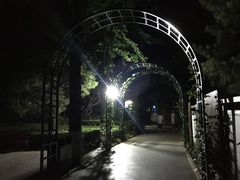 -黄村公园