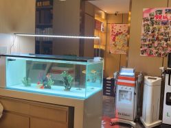 -香港倾城国际·美容美体中心