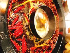 -蜀大侠火锅(建设路第五大道店)