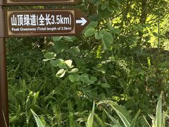 -广州白江湖森林公园