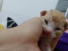 -刘家窑(地铁站)